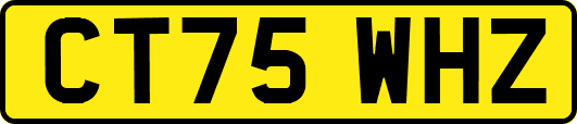 CT75WHZ