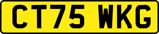 CT75WKG