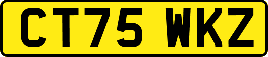 CT75WKZ