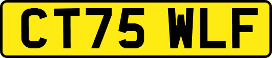 CT75WLF