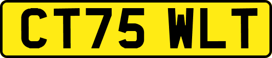 CT75WLT