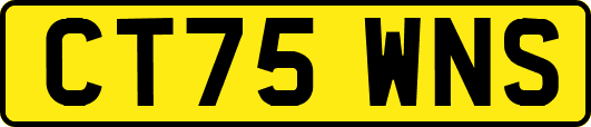CT75WNS