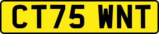 CT75WNT