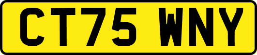 CT75WNY