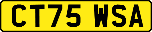 CT75WSA
