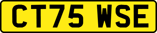CT75WSE