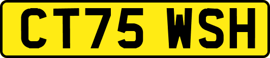 CT75WSH