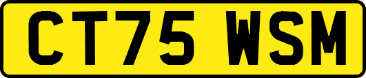CT75WSM