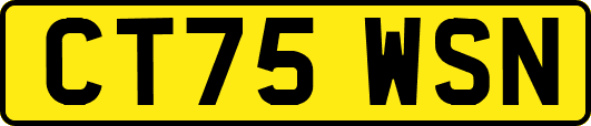 CT75WSN