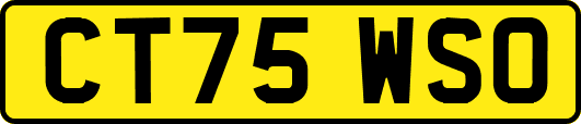 CT75WSO
