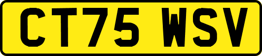 CT75WSV