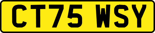 CT75WSY
