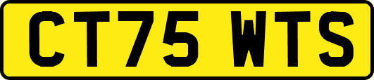 CT75WTS