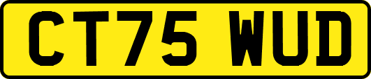 CT75WUD