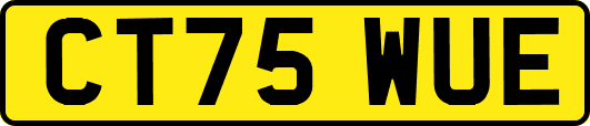 CT75WUE