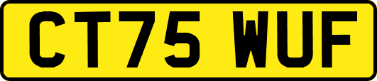 CT75WUF