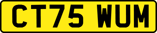 CT75WUM