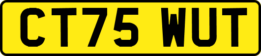CT75WUT