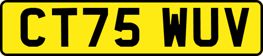CT75WUV