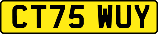 CT75WUY