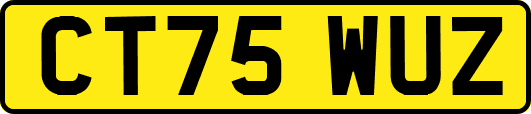 CT75WUZ