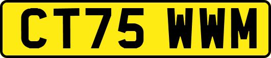 CT75WWM