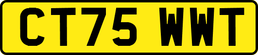 CT75WWT