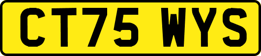 CT75WYS