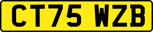 CT75WZB