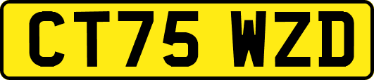 CT75WZD