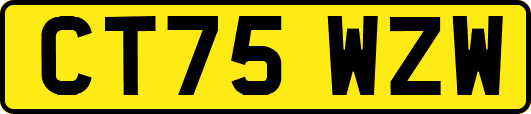 CT75WZW
