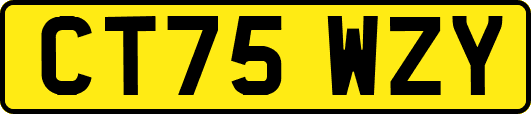 CT75WZY