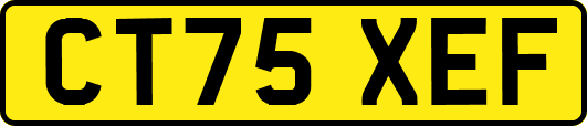 CT75XEF
