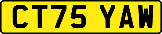 CT75YAW