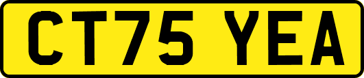 CT75YEA
