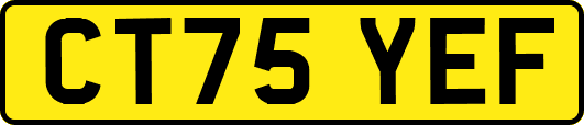 CT75YEF