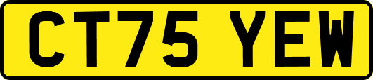 CT75YEW