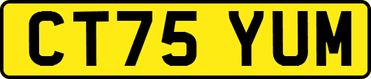 CT75YUM