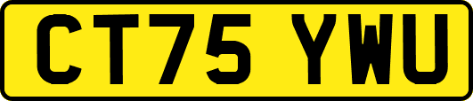 CT75YWU