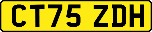 CT75ZDH