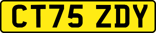 CT75ZDY