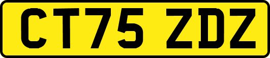 CT75ZDZ