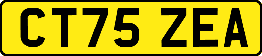 CT75ZEA