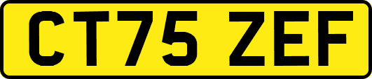 CT75ZEF