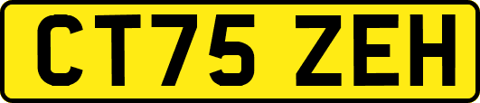 CT75ZEH