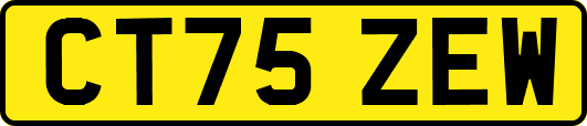 CT75ZEW