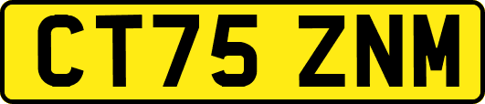 CT75ZNM