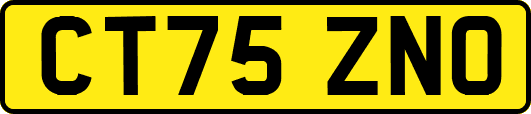 CT75ZNO