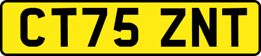 CT75ZNT