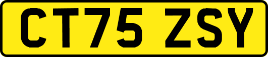 CT75ZSY